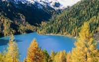 Alpi21